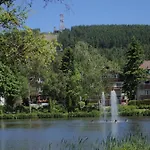 Apartamento Gaestehaus Andrea Goslar