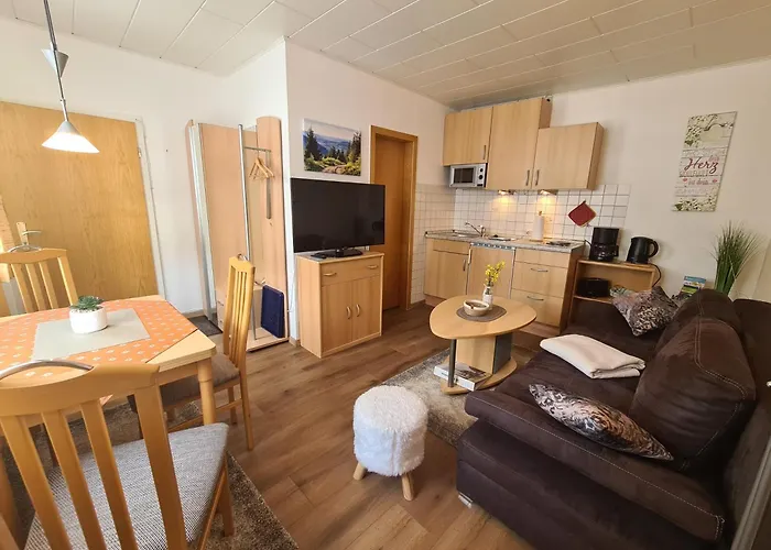 Daire Gaestehaus Andrea Goslar